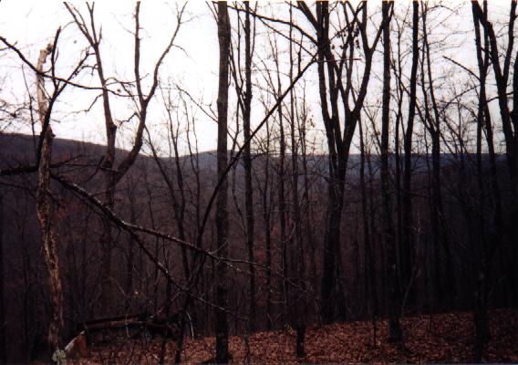 Arkansas Ozarks Picture #6