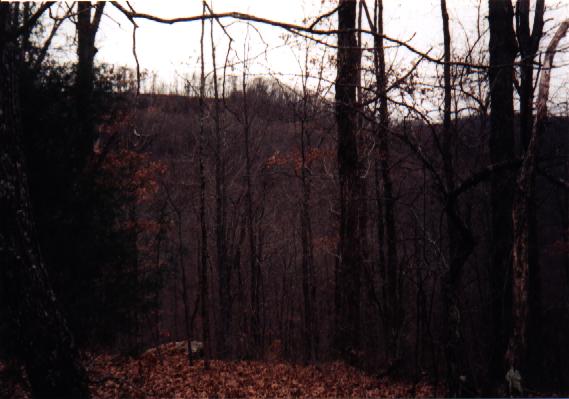 Arkansas Ozarks Picture #7