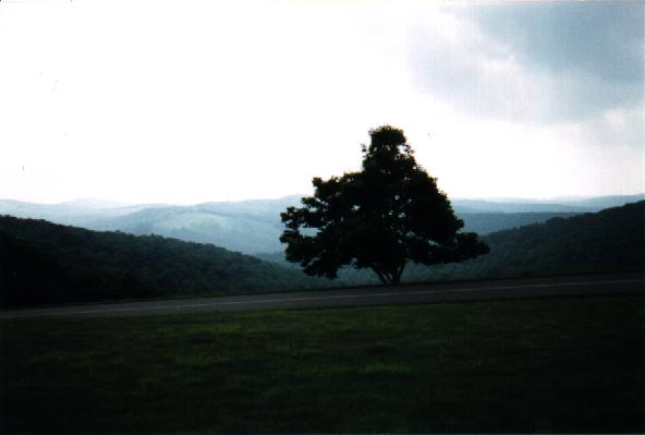 Blue Ridge Parkway-Virginia Picture #17