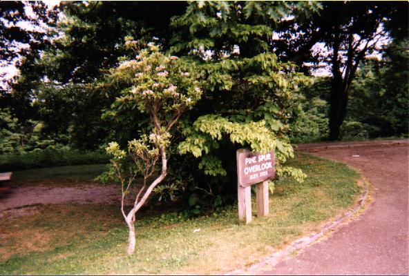 Blue Ridge Parkway-Virginia Picture #18
