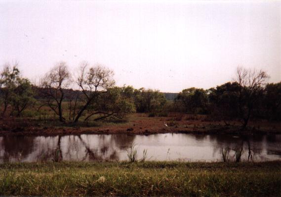 Eastern North Carolina Picture #5