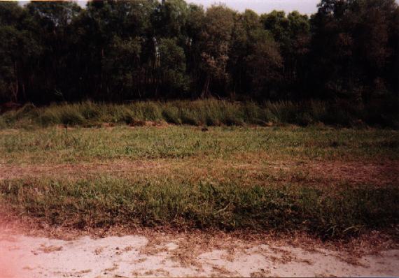 Eastern North Carolina Picture #6