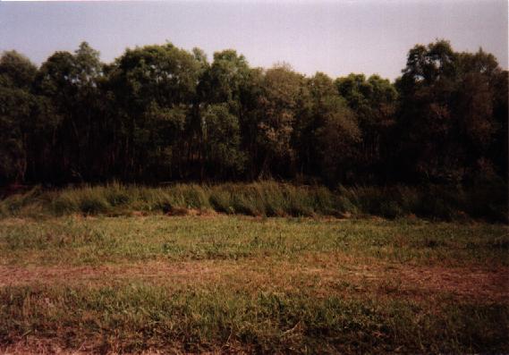 Eastern North Carolina Picture #7