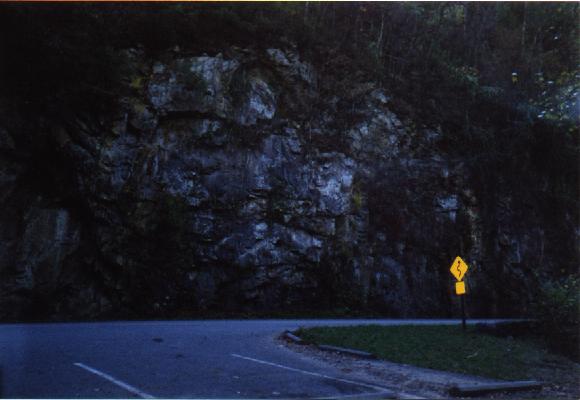 Great Smoky Mountains National Park Picture #7