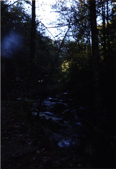 Great Smoky Mountains National Park Picture #8