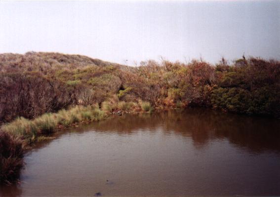 Outer Banks Picture #7